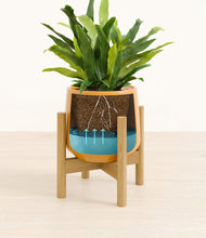 Load image into Gallery viewer, Mustard stand:bamboo