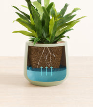 Load image into Gallery viewer, Turquoise