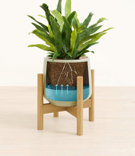 Load image into Gallery viewer, Turquoise stand:bamboo