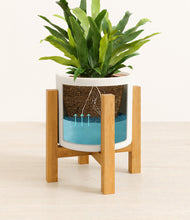 Load image into Gallery viewer, White stand:light