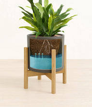 Load image into Gallery viewer, Dark Olive stand:bamboo