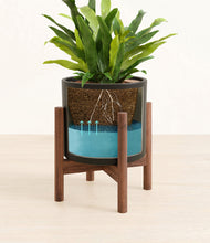 Load image into Gallery viewer, Black stand:walnut