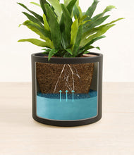 Load image into Gallery viewer, Black