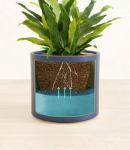 Load image into Gallery viewer, Deep Navy