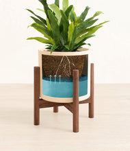 Load image into Gallery viewer, Cream stand:walnut