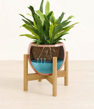 Load image into Gallery viewer, Calm Rose stand:bamboo