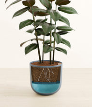 Load image into Gallery viewer, Iron Gray