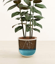 Load image into Gallery viewer, Natural Bamboo