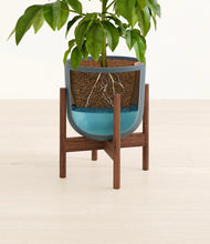 Load image into Gallery viewer, Iron Gray stand:walnut