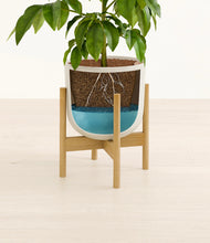 Load image into Gallery viewer, Natural Bamboo stand:bamboo