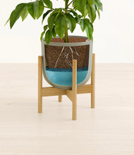Load image into Gallery viewer, Sage Green stand:bamboo