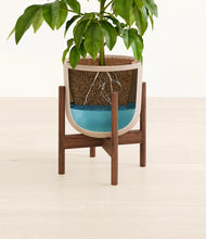 Load image into Gallery viewer, Sandy Pink stand:walnut