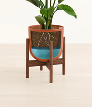 Load image into Gallery viewer, Earth Red stand:walnut