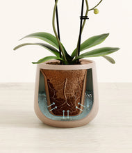 Load image into Gallery viewer, Eternal Gray stand:all