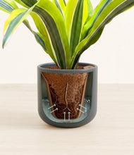 Load image into Gallery viewer, Iron Gray stand:all