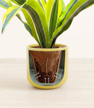 Load image into Gallery viewer, Key Lime Yellow stand:all