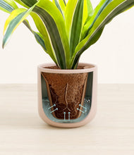 Load image into Gallery viewer, Sandy Pink stand:all