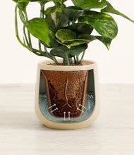 Load image into Gallery viewer, Almond Green stand:all