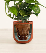 Lade das Bild in den Galerie-Viewer, Earth Red stand:all