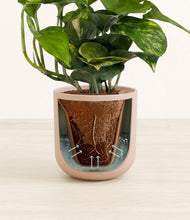 Lade das Bild in den Galerie-Viewer, Sandy Pink stand:all