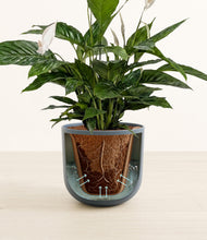Lade das Bild in den Galerie-Viewer, Iron Gray stand:all