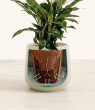 Lade das Bild in den Galerie-Viewer, Turquoise stand:all