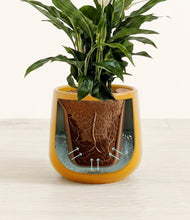 Lade das Bild in den Galerie-Viewer, Mustard stand:all