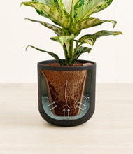 Lade das Bild in den Galerie-Viewer, Stone Black stand:all