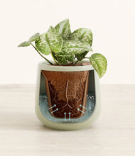 Load image into Gallery viewer, Turquoise stand:all