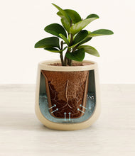 Load image into Gallery viewer, Almond Green stand:all