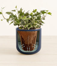 Charger l'image dans la galerie, Twilight Blue stand:all
