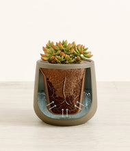Load image into Gallery viewer, Olive stand:all