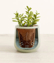 Load image into Gallery viewer, Turquoise stand:all