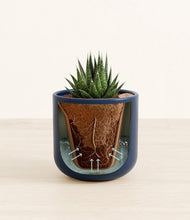 Load image into Gallery viewer, Twilight Blue stand:all