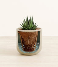 Load image into Gallery viewer, Sage Green stand:all