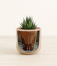 Load image into Gallery viewer, Glossy Pink stand:all