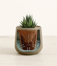 Load image into Gallery viewer, Olive stand:all