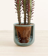 Lade das Bild in den Galerie-Viewer, Reactive Aqua stand:all
