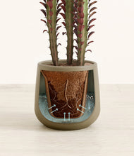 Lade das Bild in den Galerie-Viewer, Olive stand:all