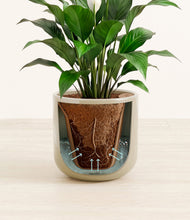 Charger l'image dans la galerie, Sage Green stand:all