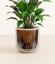 Charger l'image dans la galerie, Sandy Pink stand:all