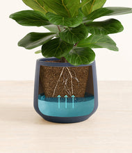 Load image into Gallery viewer, Deep Navy