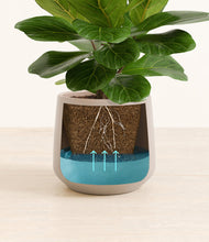 Load image into Gallery viewer, Eternal Gray