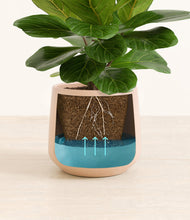 Load image into Gallery viewer, Gentle Pink