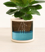 Load image into Gallery viewer, Cream