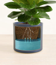 Load image into Gallery viewer, Deep Navy