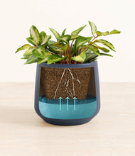 Load image into Gallery viewer, Deep Navy