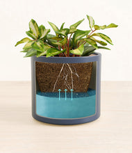 Load image into Gallery viewer, Deep Navy