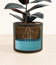 Load image into Gallery viewer, Black