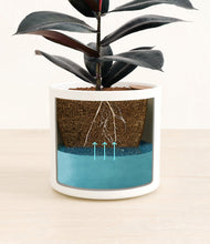 Load image into Gallery viewer, White